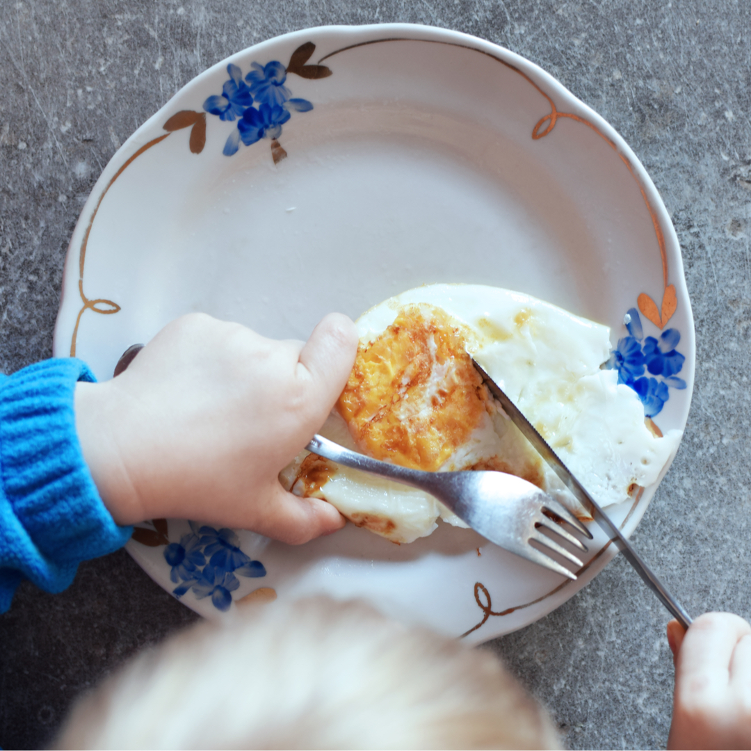 Children working with Occupational Therapist in Occupational Therapy clinic in Bondi Junction and Mascot learning to use knife and fork